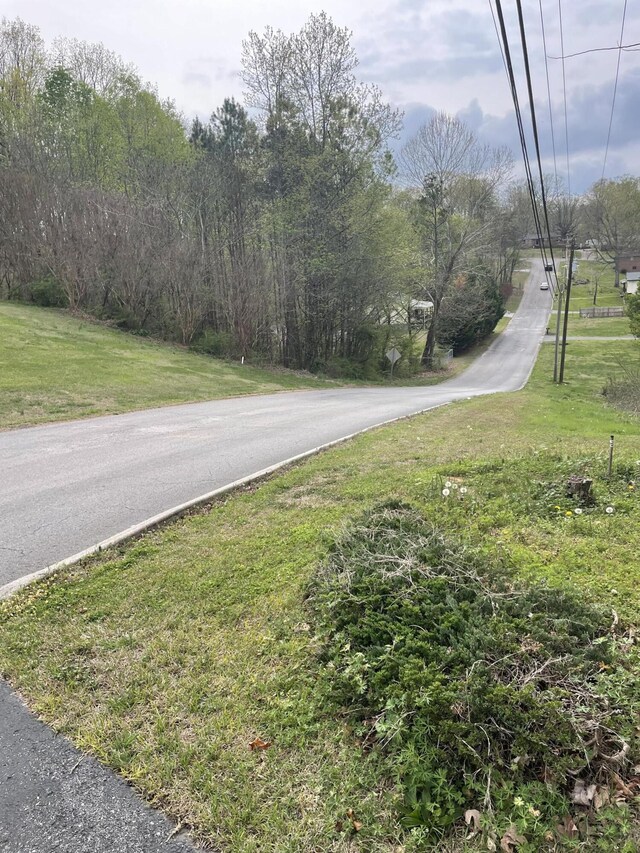 129B Gateway Ln, Rossville, GA 30741 - photo 6