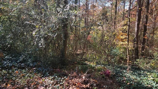 129B Gateway Ln, Rossville, GA 30741 - photo 7