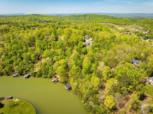 7328 Creek Ridge Dr, Harrison, TN 37341
