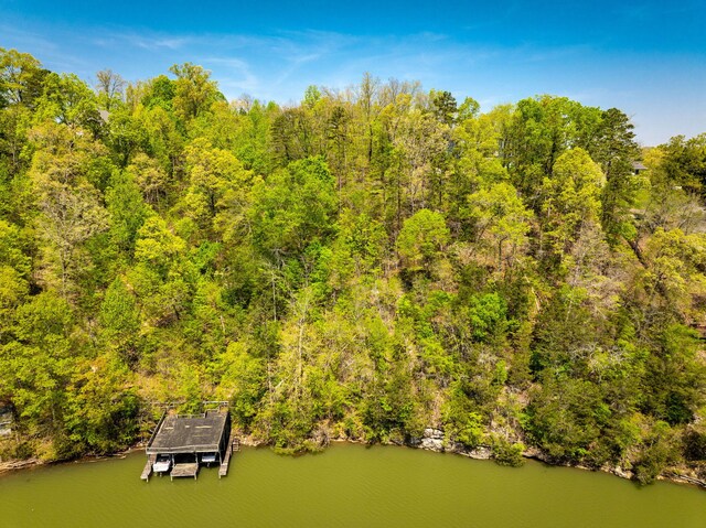7328 Creek Ridge Dr, Harrison, TN 37341