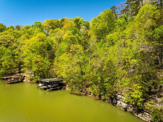 7328 Creek Ridge Dr, Harrison, TN 37341