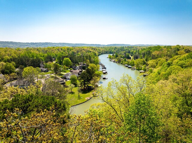 7328 Creek Ridge Dr, Harrison, TN 37341
