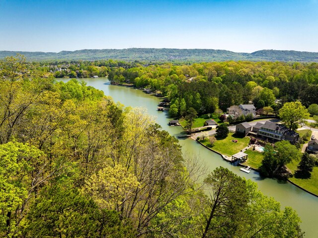 7328 Creek Ridge Dr, Harrison, TN 37341