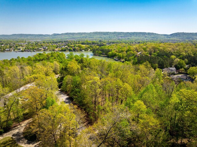 7328 Creek Ridge Dr, Harrison, TN 37341