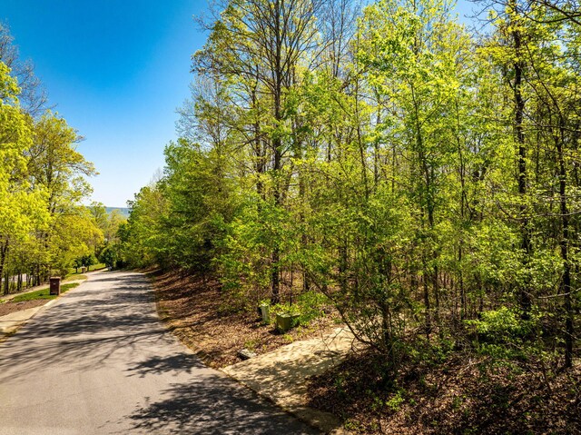 7328 Creek Ridge Dr, Harrison, TN 37341