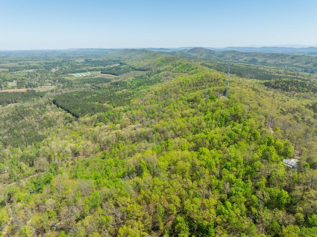 0 Jack Dr, Lafayette, GA 30728 - photo 4