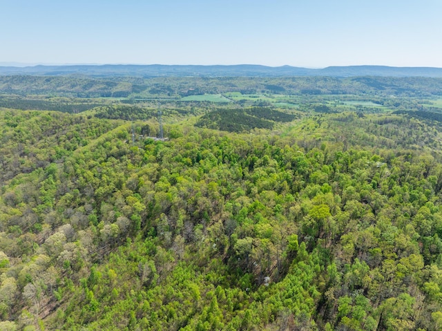 0 Jack Dr, Lafayette, GA 30728 - photo 5