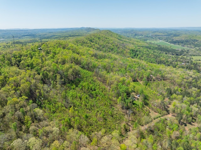 0 Jack Dr, Lafayette, GA 30728 - photo 8