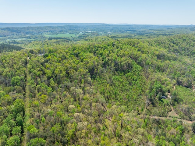 0 Jack Dr, Lafayette, GA 30728 - photo 9