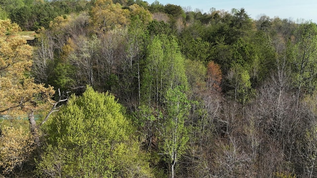 0000 County Road 675, Athens, TN 37303 - photo 1