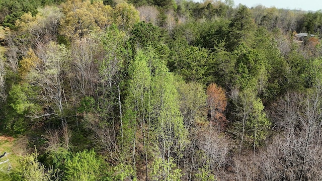 0000 County Road 675, Athens, TN 37303 - photo 2