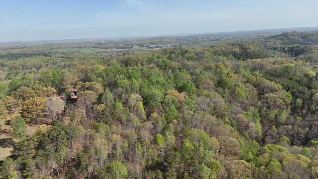0000 County Road 675, Athens, TN 37303 - photo 6