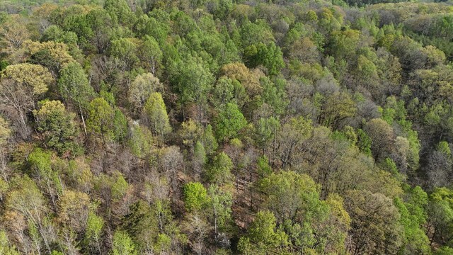 0000 County Road 675, Athens, TN 37303 - photo 7