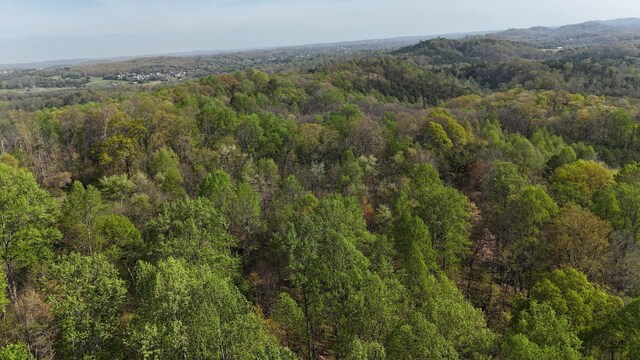 0000 County Road 675, Athens, TN 37303 - photo 9