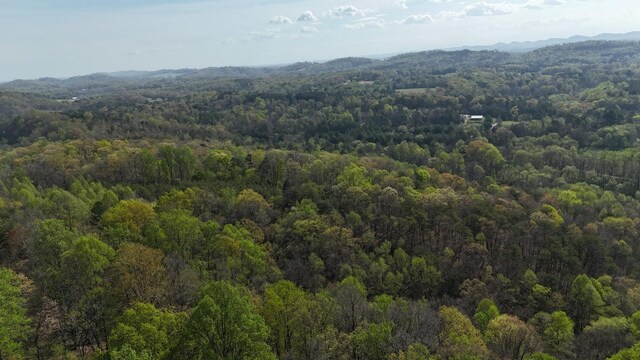 0000 County Road 675, Athens, TN 37303 - photo 10