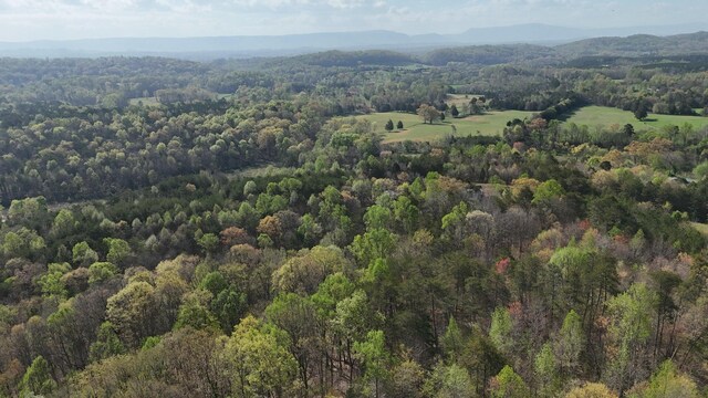 0000 County Road 675, Athens, TN 37303 - photo 11
