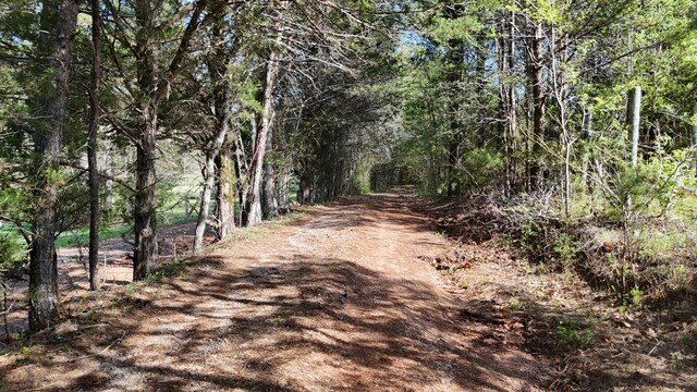 0000 County Road 675, Athens, TN 37303 - photo 16