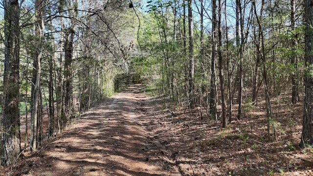 0000 County Road 675, Athens, TN 37303 - photo 17