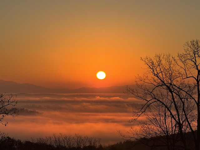 2295 Heavenly Vw, Ooltewah, TN 37363 - view of nature