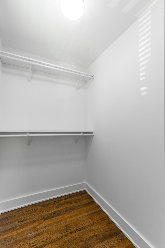 915 Barton Ave, Chattanooga, TN 37405 - spacious closet with dark wood-style floors