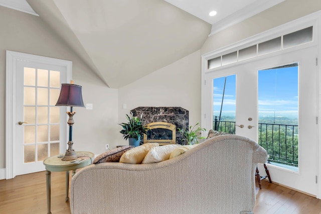 381 E View Dr, Chattanooga, TN 37404 - living room featuring vaulted ceiling, light wood-style floors, a high end fireplace, and recessed lighting