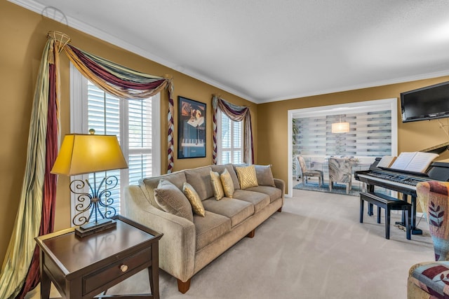 6434 Waconda Point Rd, Harrison, TN 37341 - living area featuring crown molding and carpet