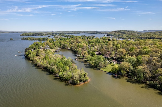 6434 Waconda Point Rd, Harrison, TN 37341 - aerial view featuring a water view and a view of trees