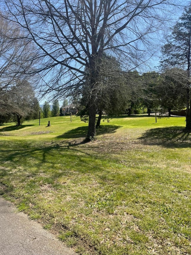 0 Madison Dr, Dunlap, TN 37327