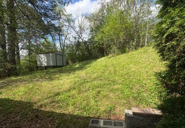 view of yard with an outbuilding and a storage unit