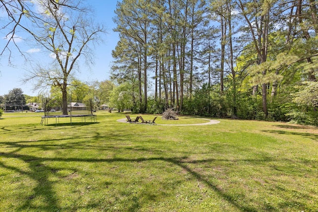 302 S Main St, Lafayette, GA 30728 - view of community featuring a lawn and a trampoline