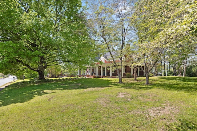 302 S Main St, Lafayette, GA 30728 - view of yard