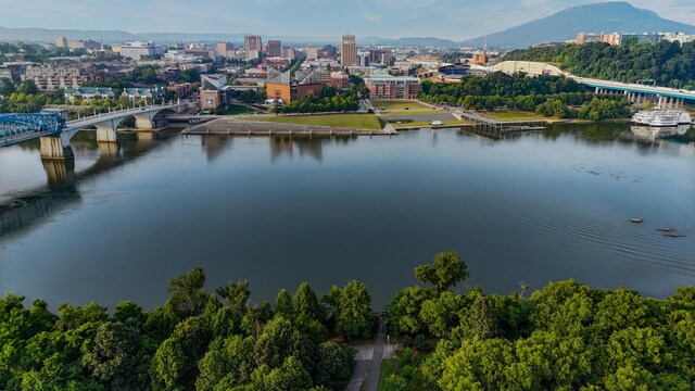 200 Manufacturers Rd Apt 727, Chattanooga, TN 37405 - view of urban area featuring a notable bridge and a water and mountain view