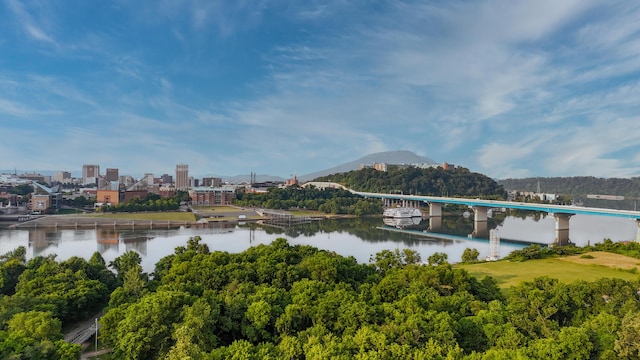 200 Manufacturers Rd Apt 727, Chattanooga, TN 37405 - water view with a notable bridge and a mountain backdrop
