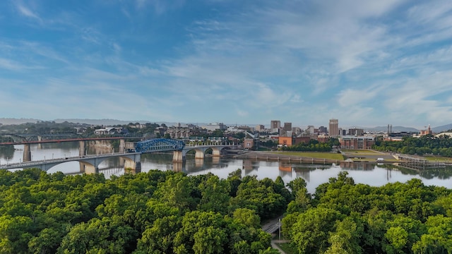 200 Manufacturers Rd Apt 727, Chattanooga, TN 37405 - water view featuring a notable bridge