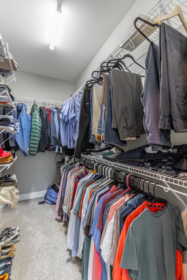 spacious closet with carpet