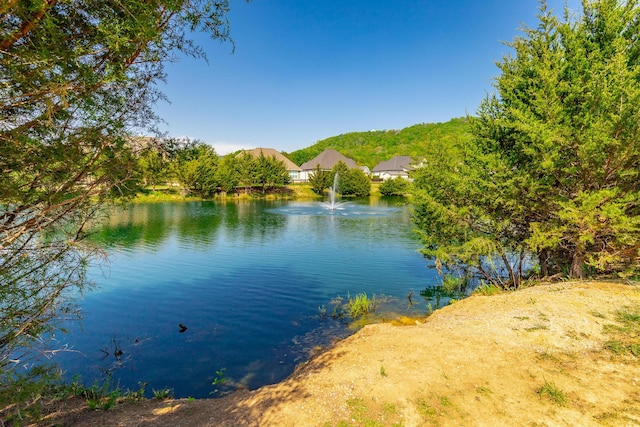 property view of water