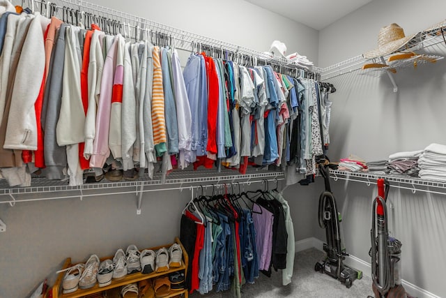 walk in closet with carpet floors