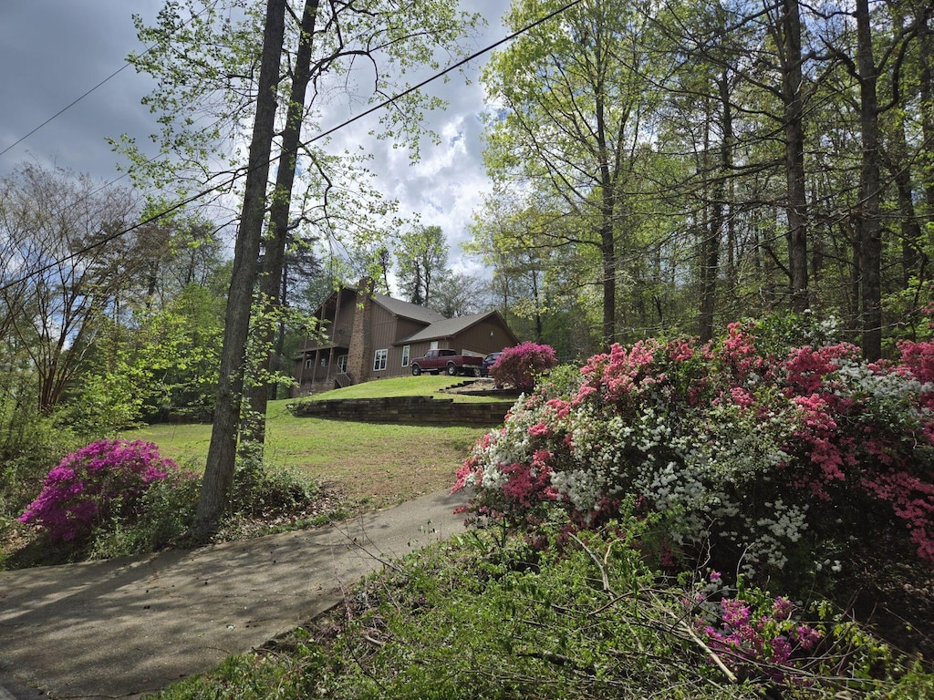view of grassy yard