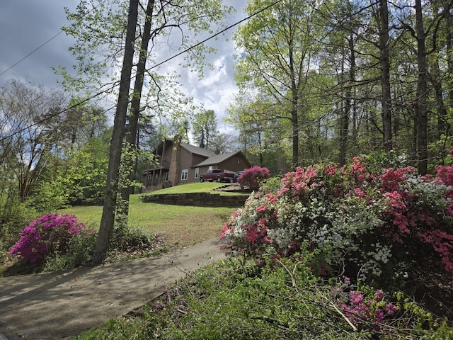 view of grassy yard