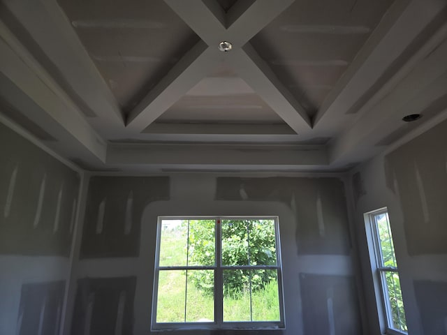 10597 Brownspring Dr Unit 115, Apison, TN 37302 - detailed view of coffered ceiling and beam ceiling