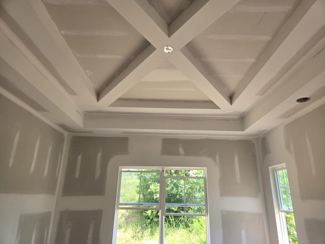 10597 Brownspring Dr Unit 115, Apison, TN 37302 - detailed view of coffered ceiling and beamed ceiling