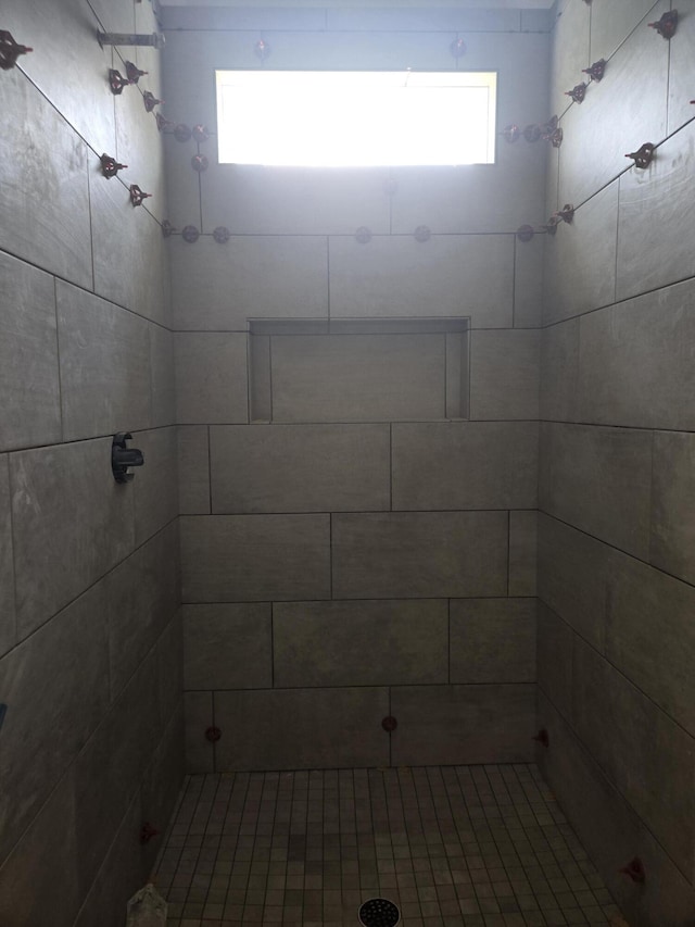 10597 Brownspring Dr Unit 115, Apison, TN 37302 - bathroom with a tile shower