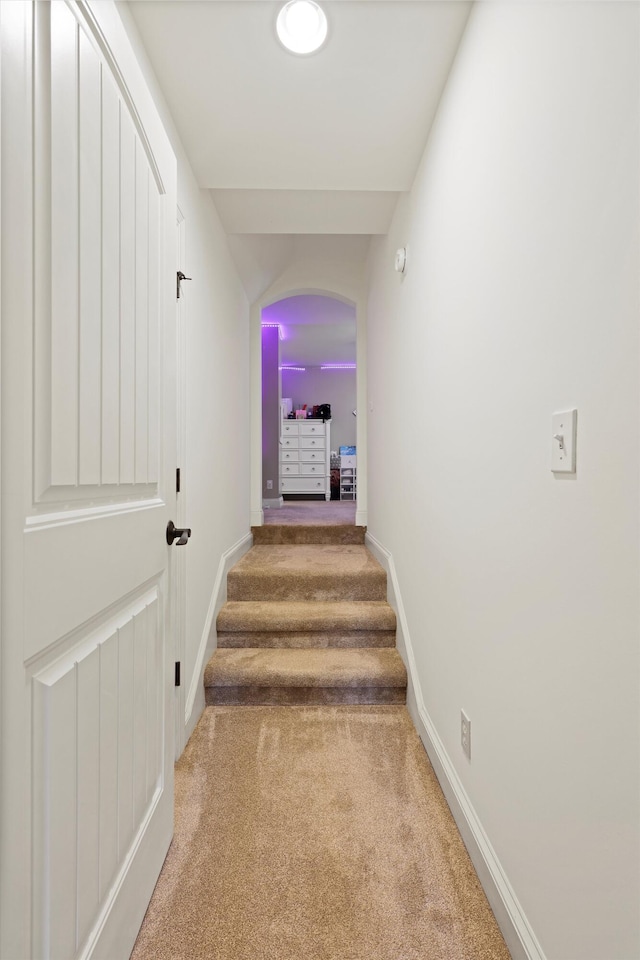 7415 Island Manor Dr, Harrison, TN 37341 - staircase with carpet floors and baseboards