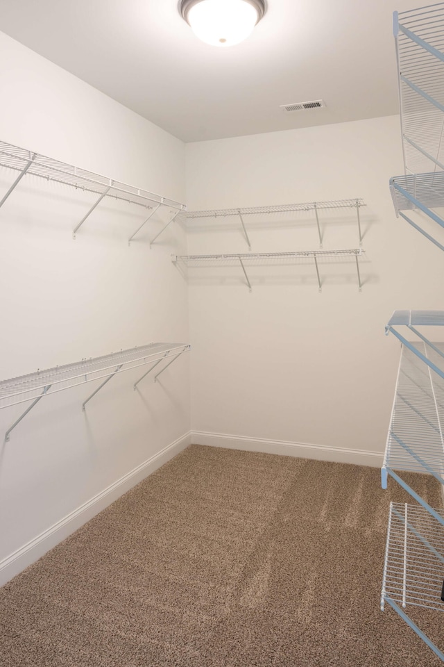 walk in closet with visible vents and carpet