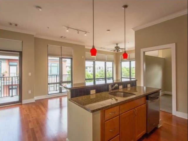129 Walnut St Unit 322, Chattanooga, TN 37403 - kitchen with stainless steel dishwasher, a sink, open floor plan, ornamental molding, and wood finished floors