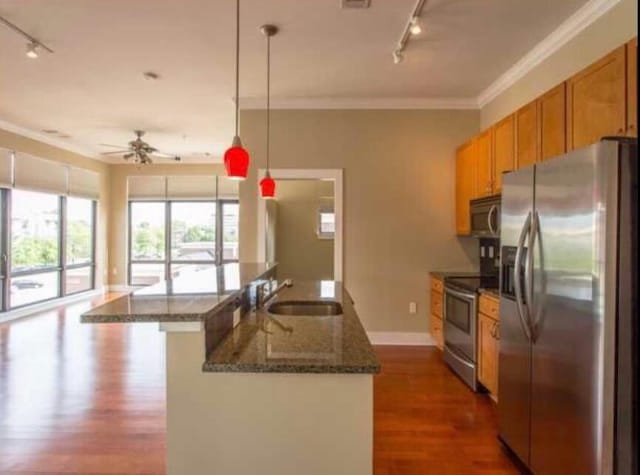129 Walnut St Unit 322, Chattanooga, TN 37403 - kitchen with appliances with stainless steel finishes, rail lighting, a sink, ceiling fan, and crown molding