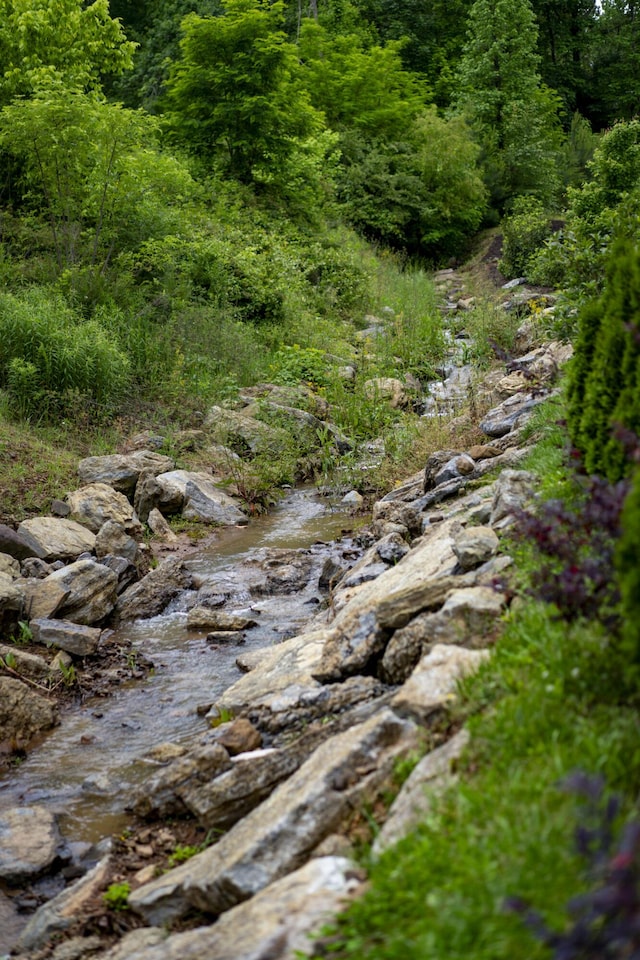 view of wooded area