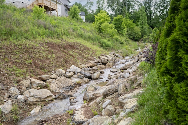 view of undeveloped land
