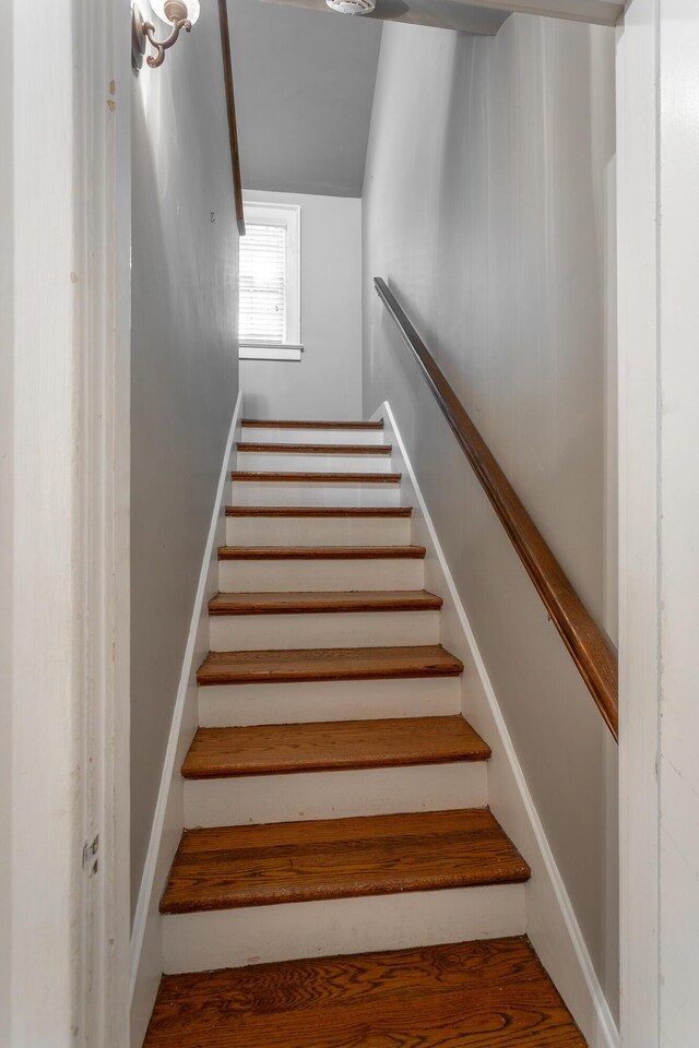 1259 Duane Rd, Chattanooga, TN 37405 - photo 41