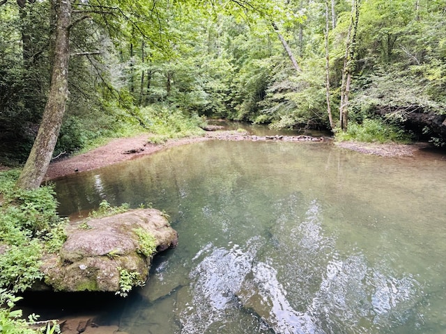 325 Pocket Rd, Whitwell, TN 37397 - photo 48